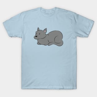 Oliver the Cat Who Naps in the Rotunda T-Shirt